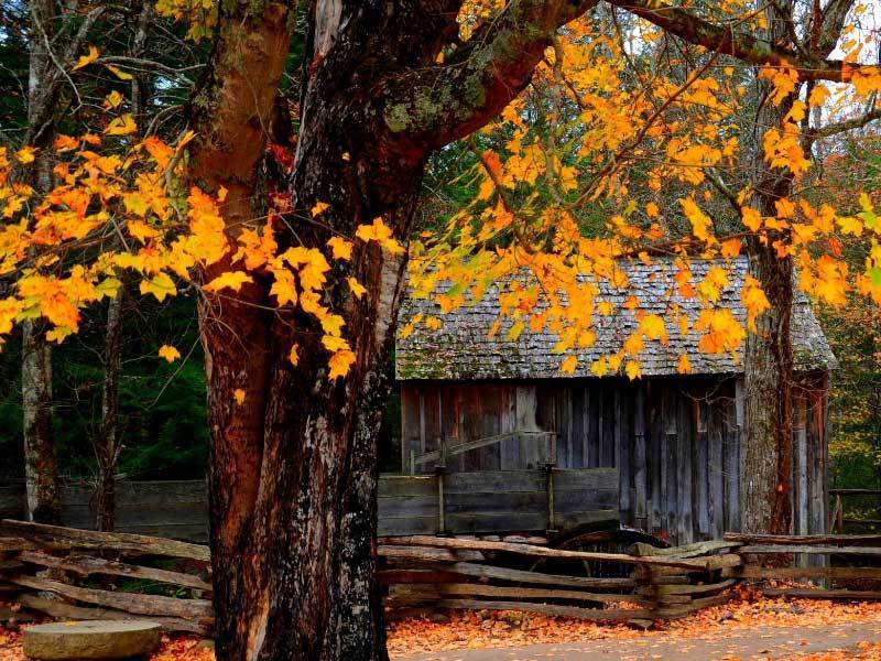 不妨停下来, 身体就能在 不妨停下来, 身体就能在