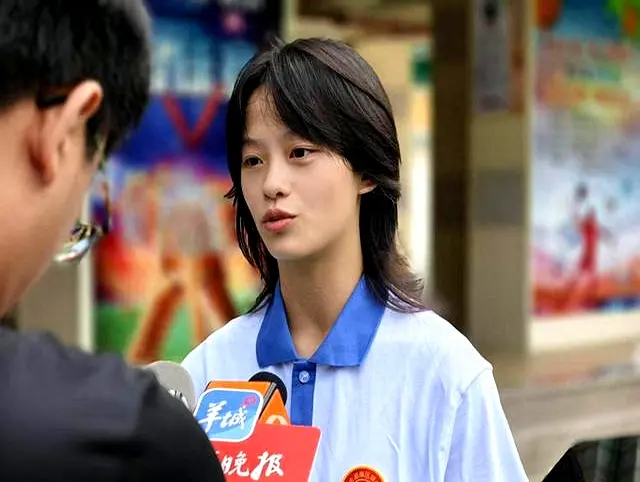 这里没有专 这里没有专